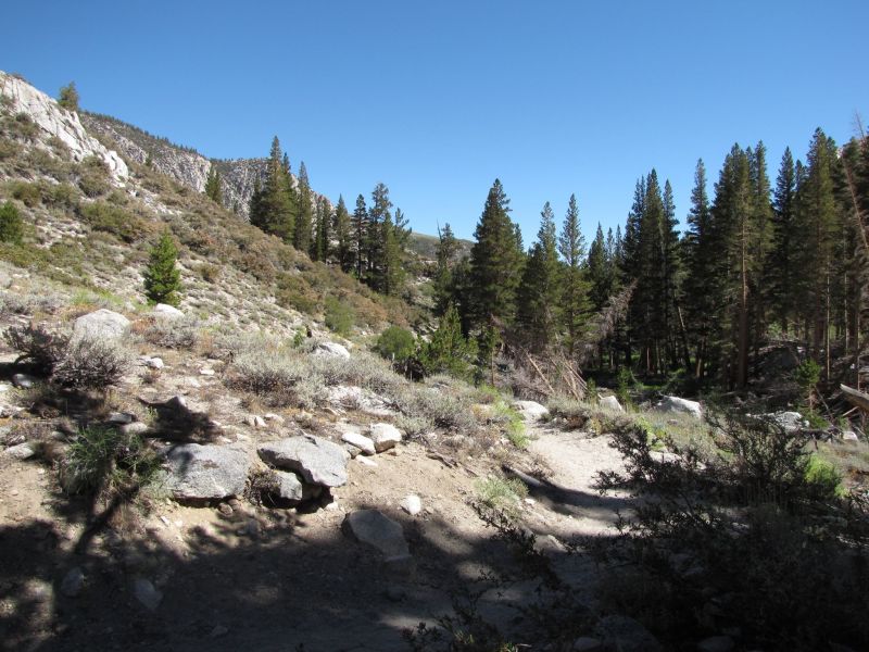 Big Pine Trail
