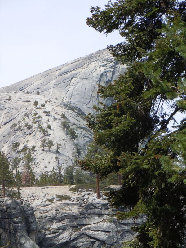 view of Half dome cables
