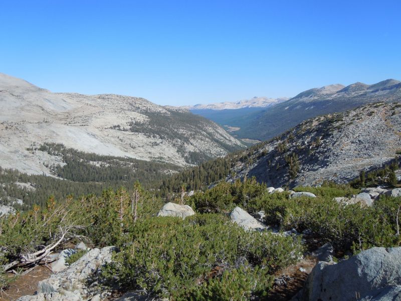 looking back towards Tuolumne from near top of Donohue
