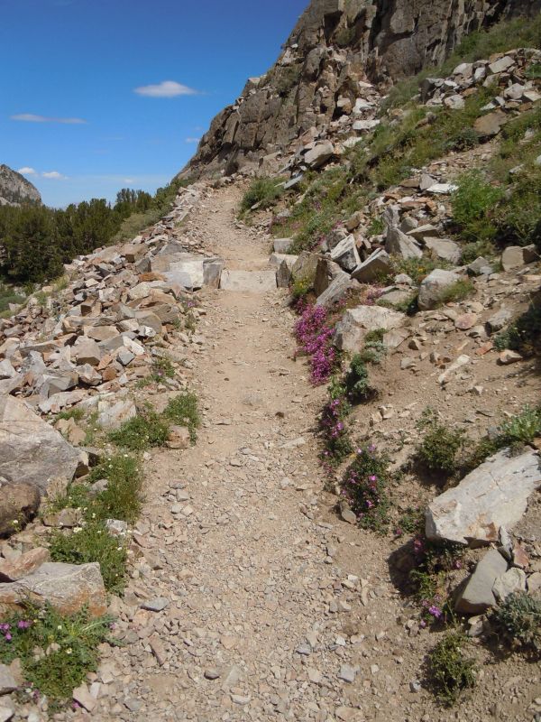 Beginning the "real" ascent of Duck Pass. trail lined with flowers
