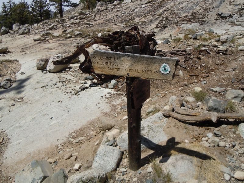 one of the only surviving PCT Blazes left on the trail

