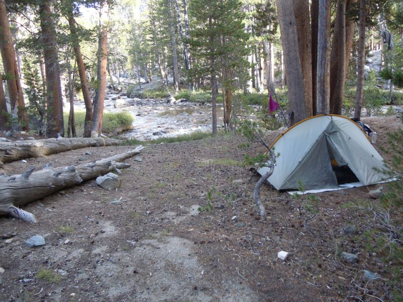 Evolution creek campsite
